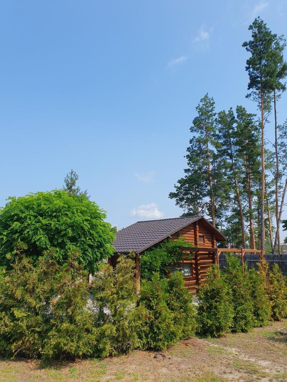 Eco Dom V Lesu ξενώνας Bila Krynytsia Εξωτερικό φωτογραφία