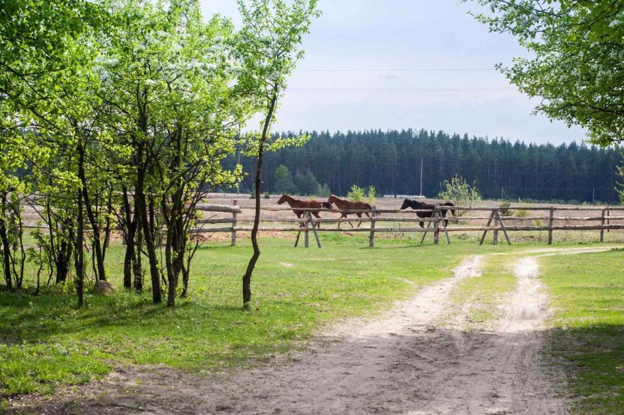 Eco Dom V Lesu ξενώνας Bila Krynytsia Εξωτερικό φωτογραφία