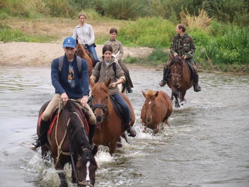 Eco Dom V Lesu ξενώνας Bila Krynytsia Εξωτερικό φωτογραφία